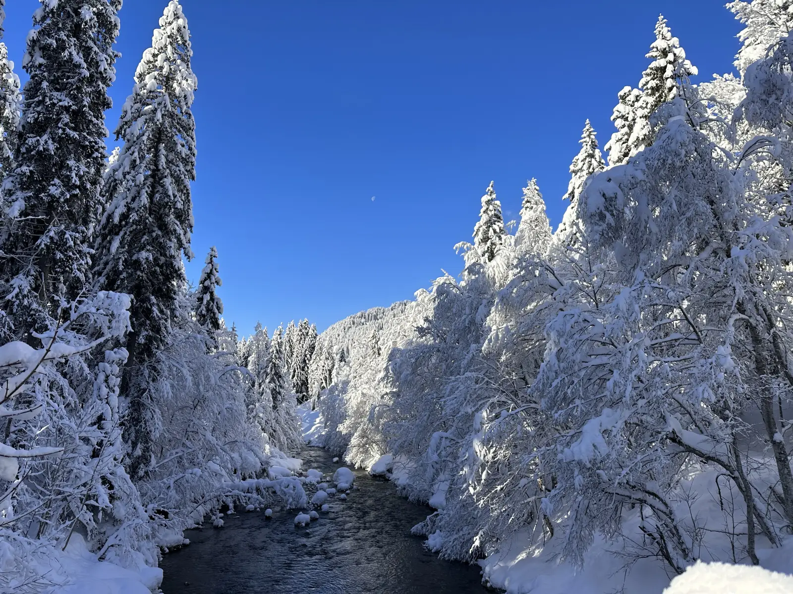 Die Bolgenach im Winter bei Balderschwang