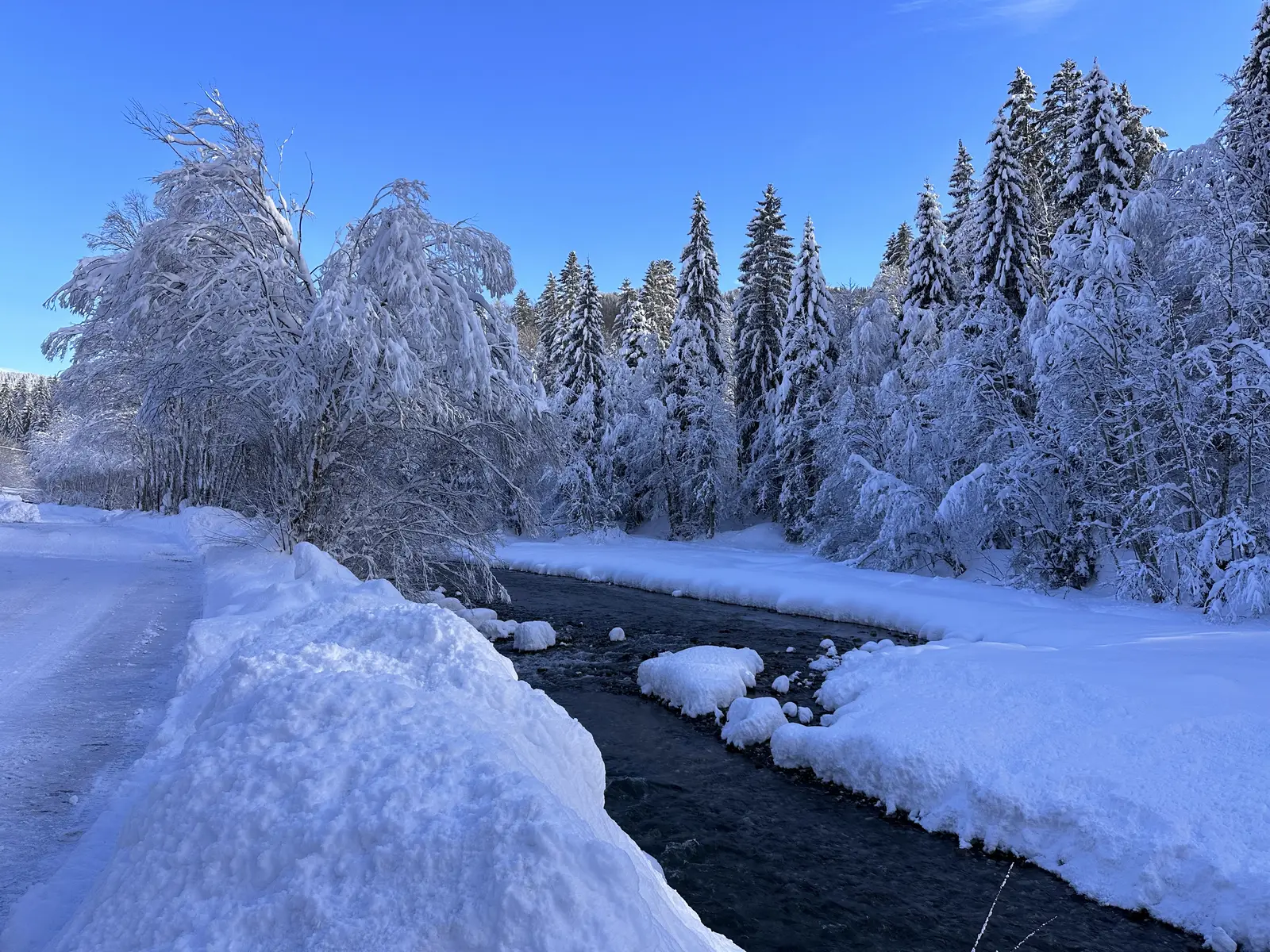 Die Bolgenach zwischen verschneiten Bäumen im Winter