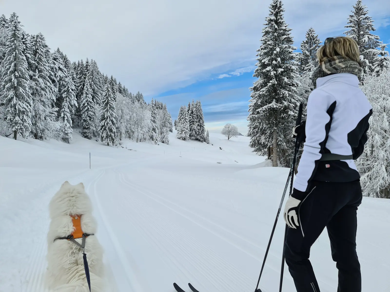 Langlaufen mit Hund im Winter, direkt am Chalet im Allgäu