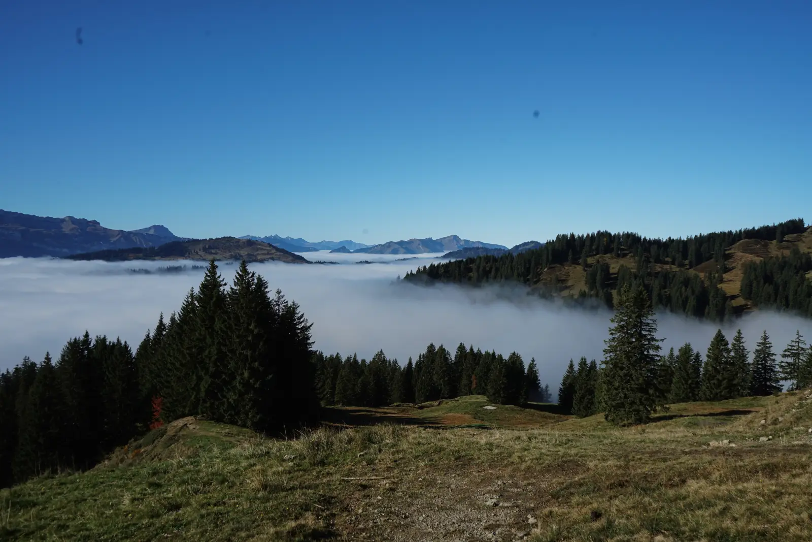 Nebelmeer über den Allgäuer Alpen im Herbst