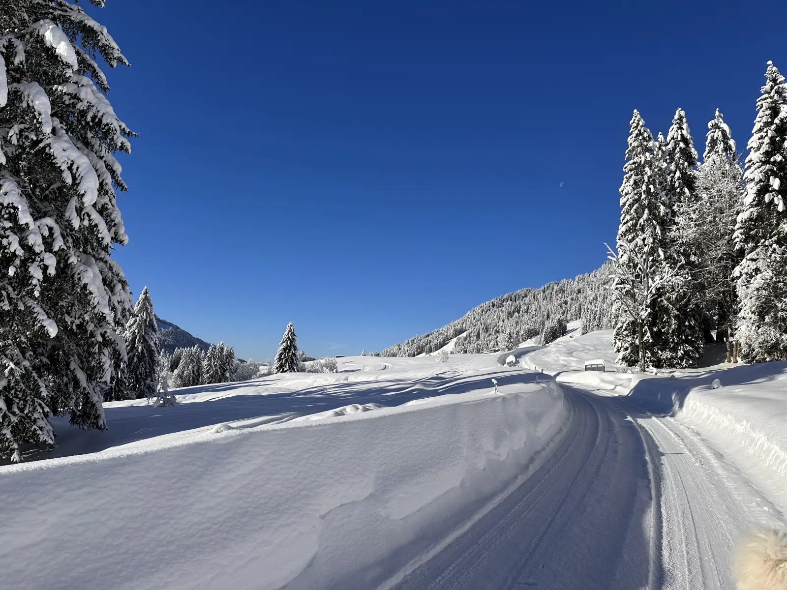Winterwanderweg im verschneiten Allgäu